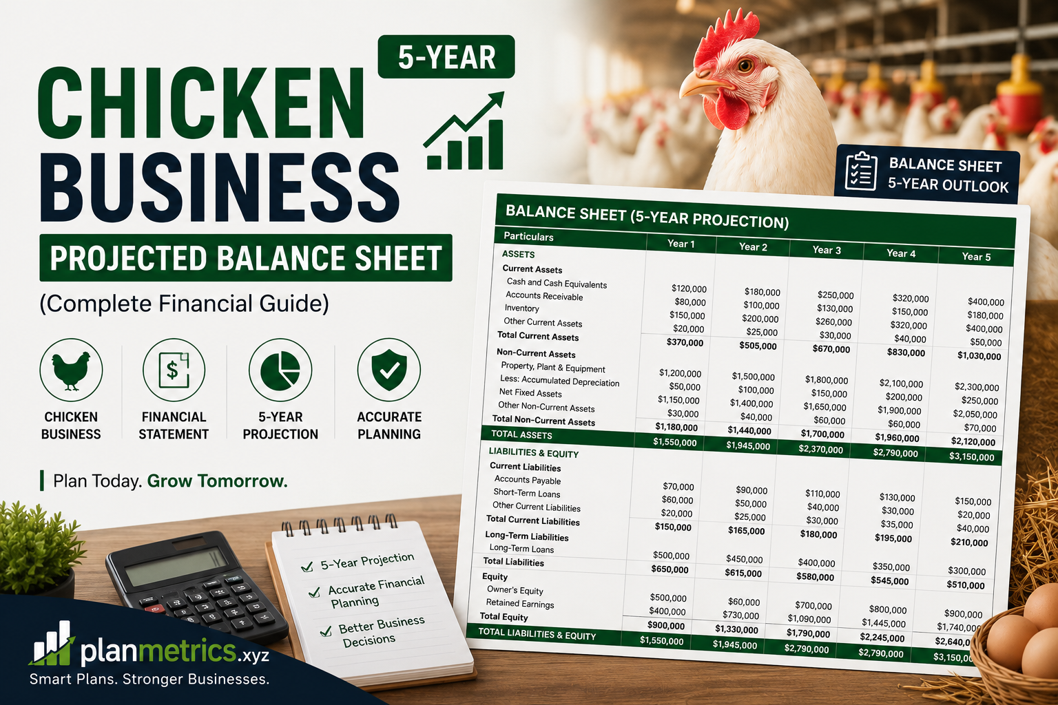 Chicken Business 5-Year Projected Balance Sheet (Complete Financial Guide)