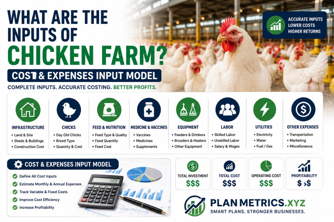What are the inputs of farming Chicken Farm? Cost & Expenses Input Model